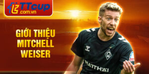 Giới thiệu mitchell weiser