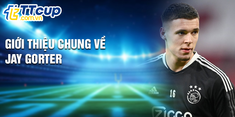 Giới thiệu chung về Jay Gorter