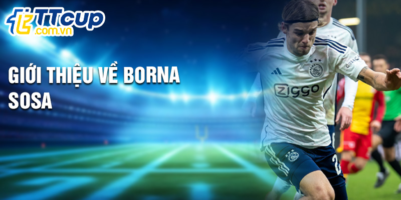 Giới thiệu về Borna Sosa