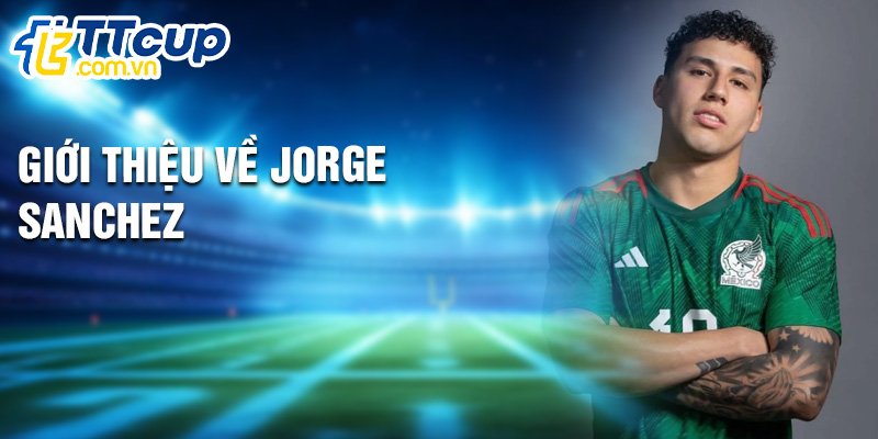 Giới thiệu về Jorge Sanchez