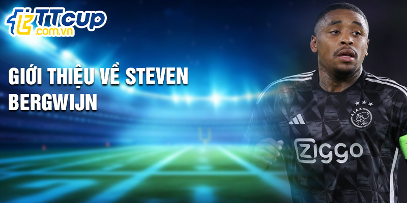 Giới thiệu về Steven Bergwijn