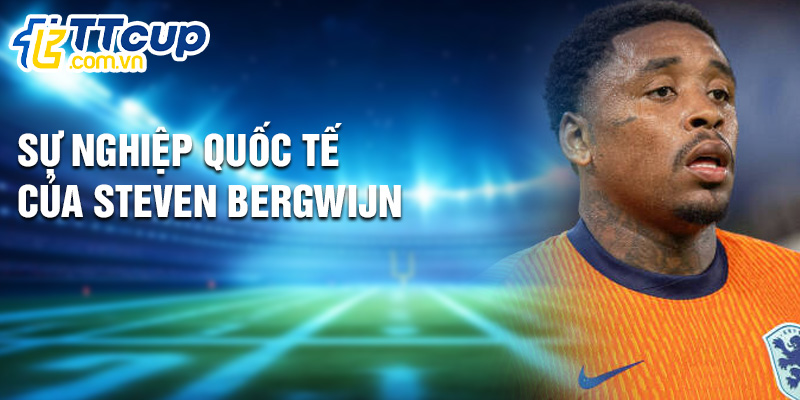 Sự nghiệp quốc tế của Steven Bergwijn